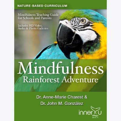 rainforest adventure