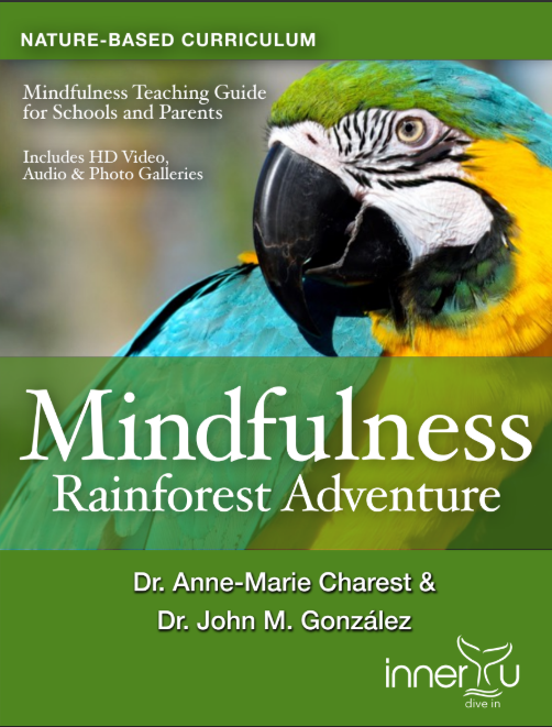 Rainforest Adventure Introduction