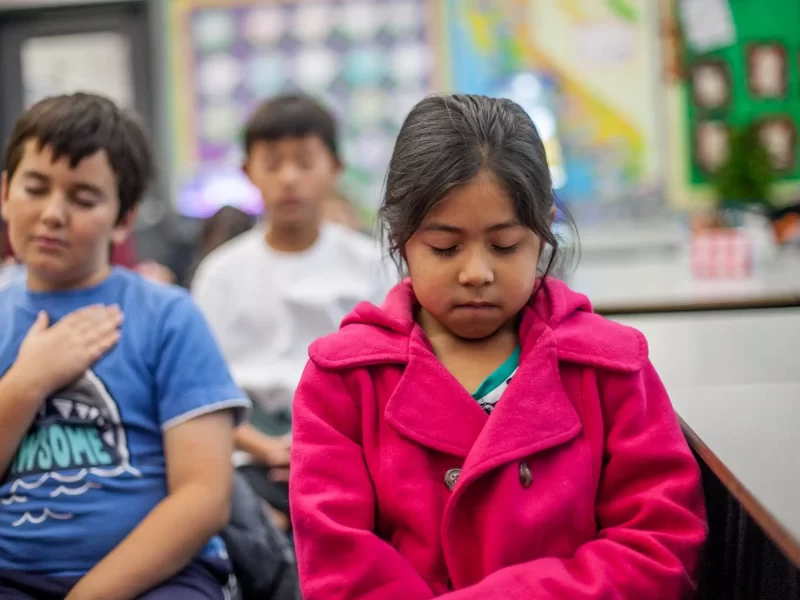 Bringing Mindfulness to Primary Schools Through Nature: A Vital Approach